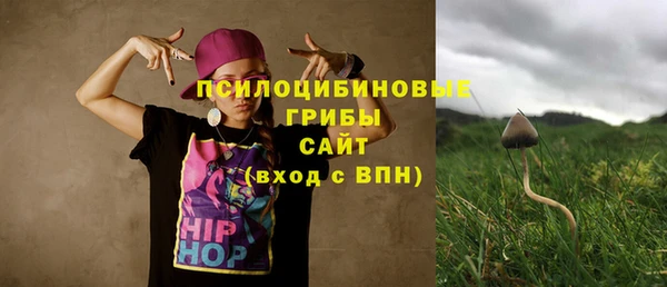 молекула духа Майский