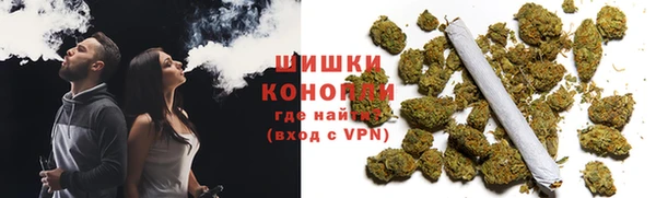 прущие грибы Баксан