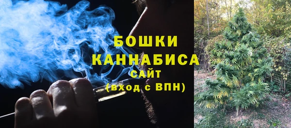 молекула духа Майский