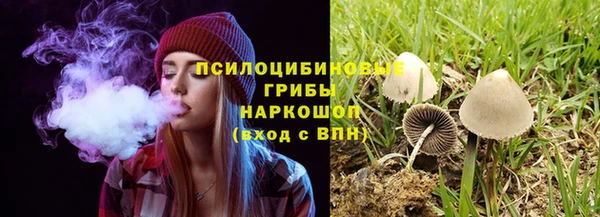 мескалин Магадан