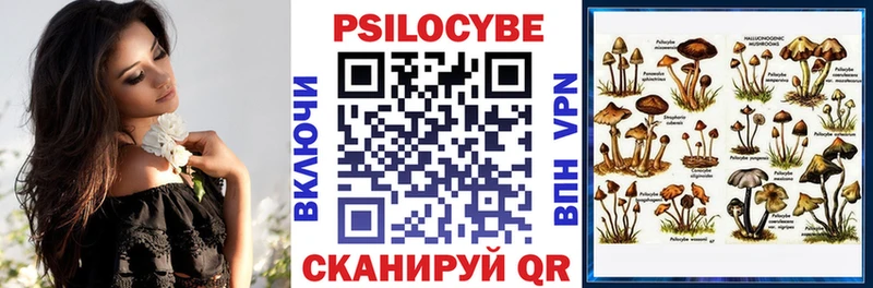 hydra ONION  купить закладку  Юрга  Псилоцибиновые грибы GOLDEN TEACHER 
