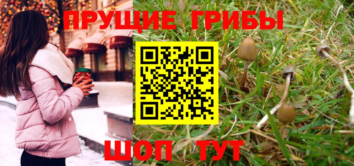 Юрга  Псилоцибиновые грибы MAGIC MUSHROOMS  Вход с VPN 