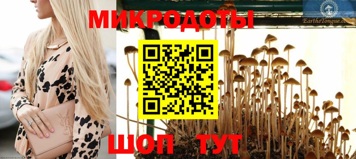 Псилоцибиновые грибы Psilocybine cubensis Юрга
