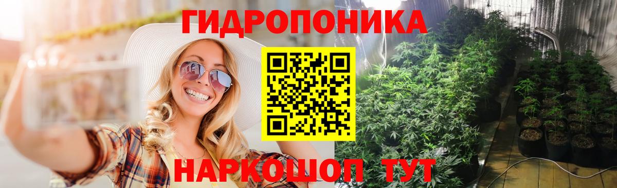 Марихуана семена  Вход с VPN  Бошки Шишки индика  Конопля сатива  Юрга 
